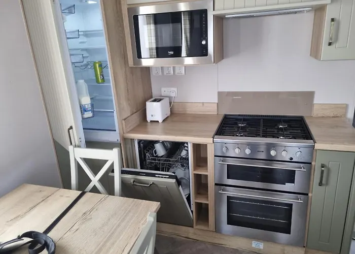 Campsite Sycamores14