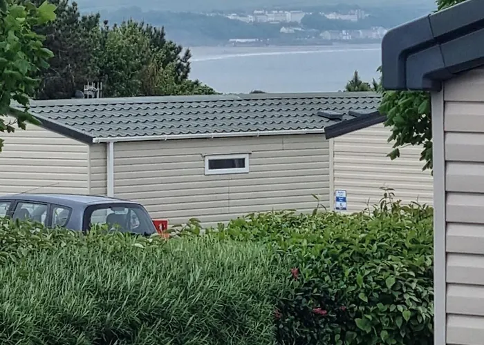 Campsite Sycamores14