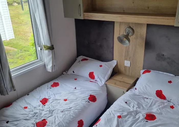 Sycamores14 Campsite *