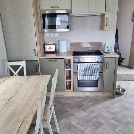 Campsite Sycamores14