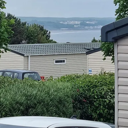 Campsite Sycamores14